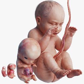 Medieval Characterset